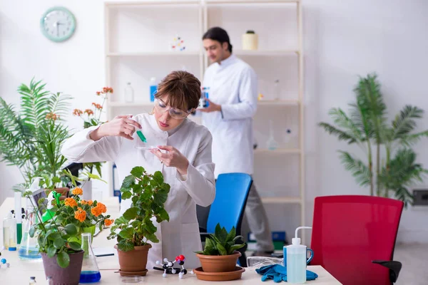 Deux jeunes botanistes travaillant dans le laboratoire — Photo