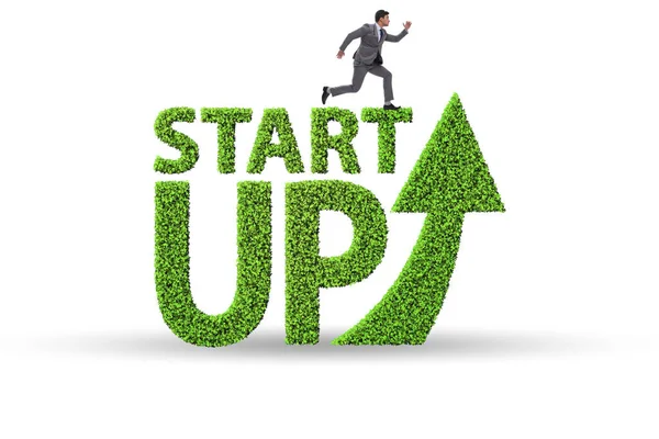 Concepto de start-up verde y capital riesgo — Foto de Stock