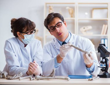 Profesör laboratuvarda insan iskeletini inceliyor.