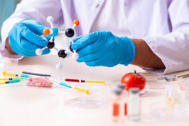 Genç erkek beslenme uzmanı gıda ürünlerini laboratuarda test ediyor.