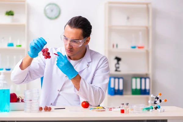 Joven experto en nutrición masculina probando productos alimenticios en laboratorio —  Fotos de Stock