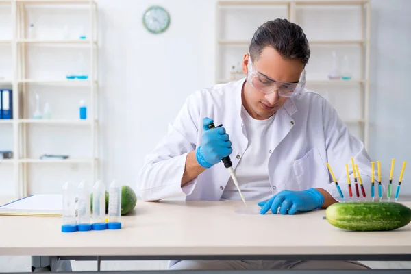 Mężczyzna żywienie ekspert badania warzyw w laboratorium — Zdjęcie stockowe