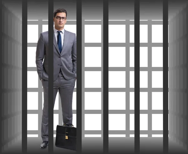 Businessman in the cage isolated on white — Stock Photo, Image