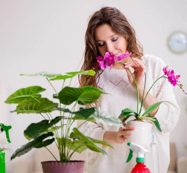 Jonge vrouw op zoek naar planten thuis — Stockfoto