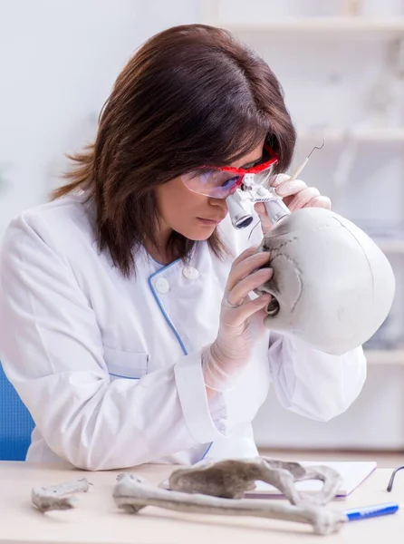 Doutor trabalhando no laboratório em esqueleto — Fotografia de Stock