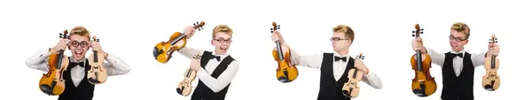 Funny violin player isolated on white — Stock Photo, Image