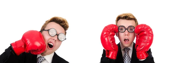 Young businessman boxer isolated on white — Stock Photo, Image