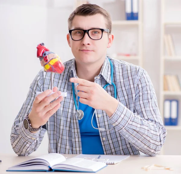 Medizinstudent studiert während Vorlesung Herz im Hörsaal — Stockfoto