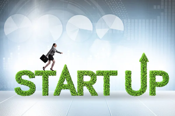 Concept of green start-up and venture capital — Stock Photo, Image