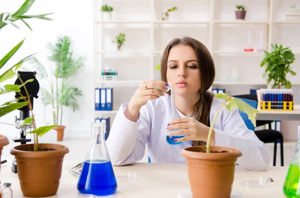 Jeune belle chimiste en biotechnologie travaillant dans le laboratoire — Photo