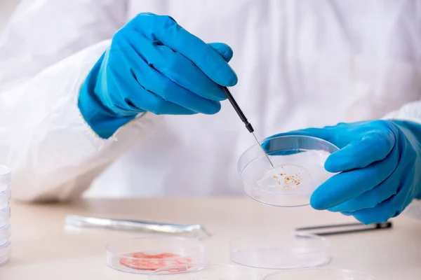 Joven químico masculino trabajando en el laboratorio — Foto de Stock