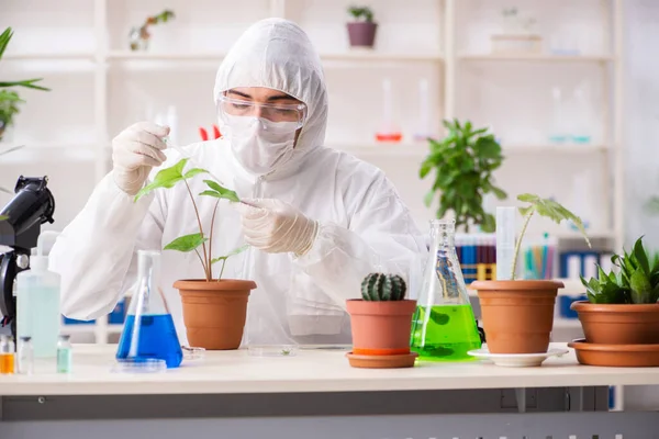 Químico biotecnológico trabajando en laboratorio —  Fotos de Stock