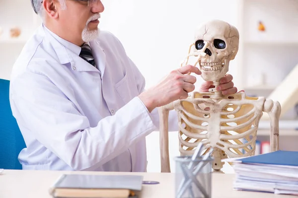 İskeleti olan yaşlı erkek doktor. — Stok fotoğraf