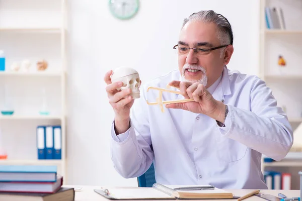 İskeleti olan yaşlı erkek doktor. — Stok fotoğraf