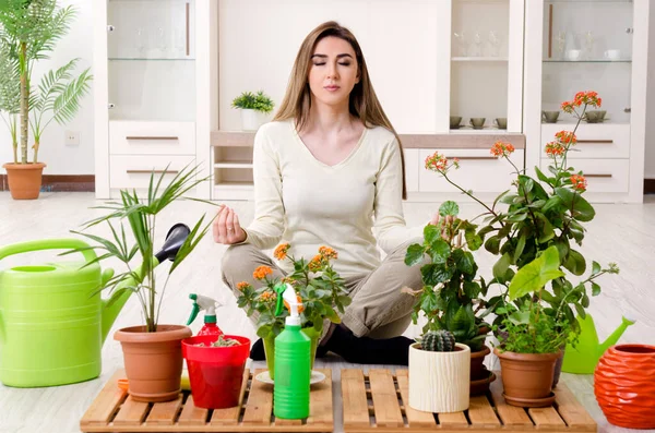 Jeune jardinière avec des plantes à l'intérieur — Photo