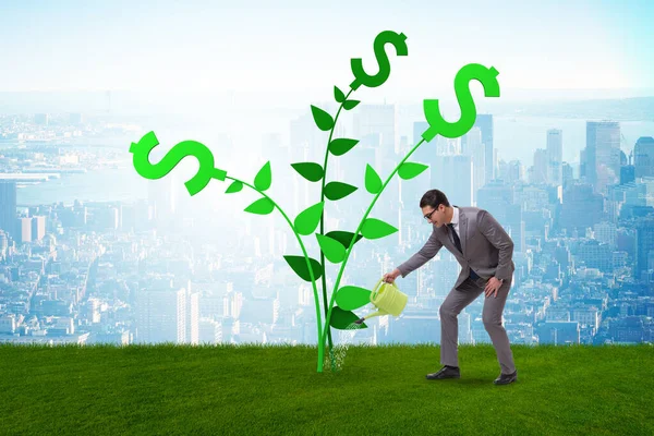 Koncepcja drzewa pieniędzy z biznesmenem podlewania — Zdjęcie stockowe