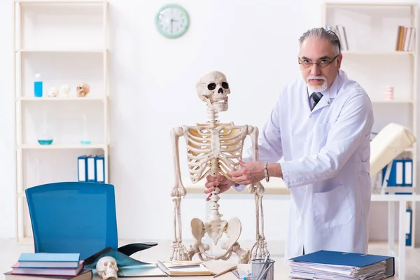 Åldrad manlig läkare med skelett — Stockfoto
