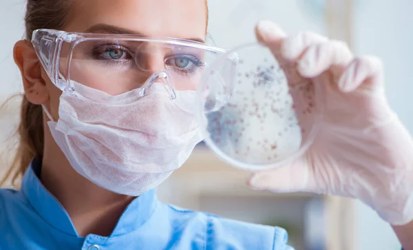 Investigadora científica que realiza un experimento en un labora —  Fotos de Stock