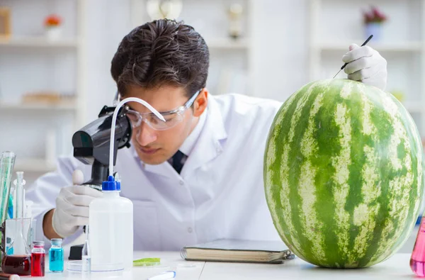 Naukowiec badający arbuza w laboratorium — Zdjęcie stockowe