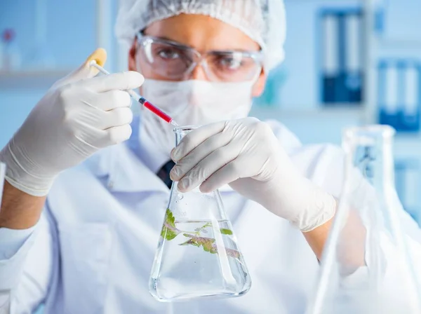 Concepto de biotecnología con científico en laboratorio — Foto de Stock