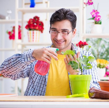 Bahçıvan çiçekçide çalışıyor. Çiçekçide çalışıyor.