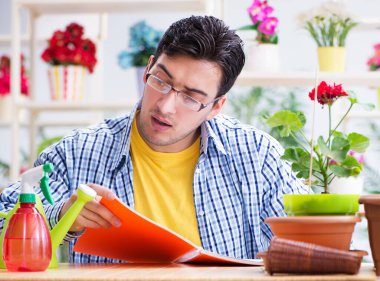 Bahçıvan çiçekçide çalışıyor. Çiçekçide çalışıyor.