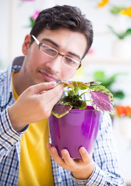 Jardinier fleuriste travaillant dans un magasin de fleurs avec des plantes maison — Photo