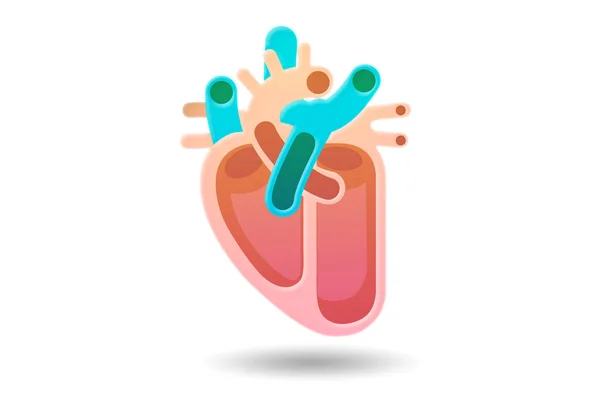 Illustrazione del cuore umano nel concetto medico — Foto Stock