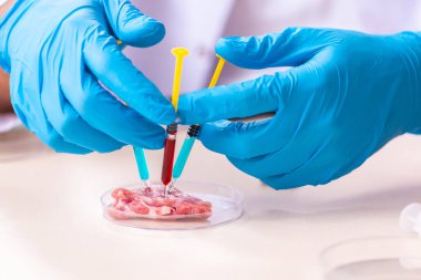 Genç erkek beslenme uzmanı gıda ürünlerini laboratuarda test ediyor.