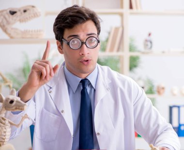 Komik çılgın profesör hayvan iskeletlerini inceliyor.