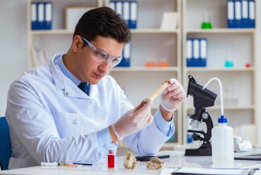 Paleontolojist soyu tükenmiş hayvan kemiklerine bakıyor