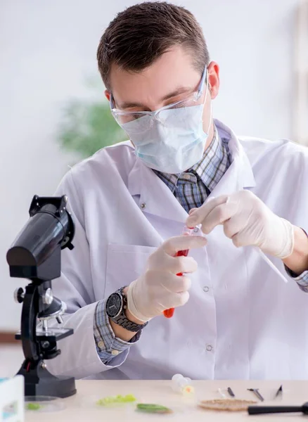 Männlicher Biochemiker arbeitet im Labor an Pflanzen — Stockfoto