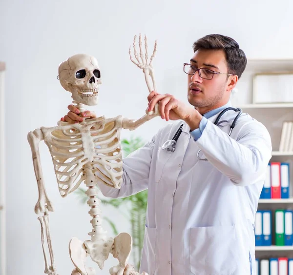 Yong médico masculino con esqueleto aislado en blanco —  Fotos de Stock