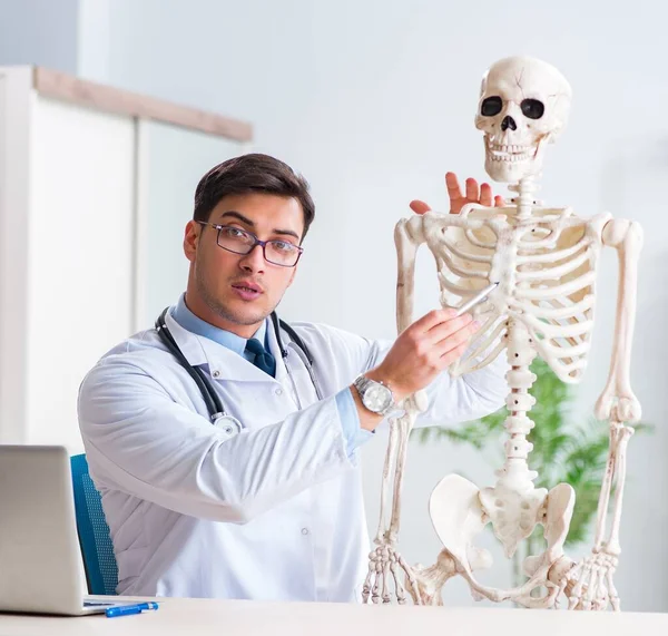 Yong male doctor with skeleton isolated on white — Stock Photo, Image