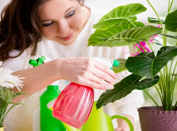 Jeune femme s'occupant des plantes à la maison — Photo