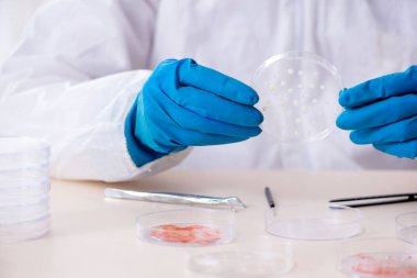 Laboratuvarda çalışan genç bir kimyager.