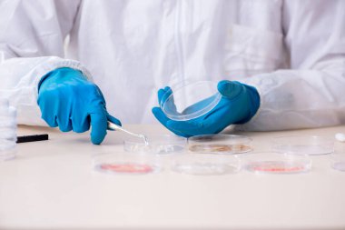 Laboratuvarda çalışan genç bir kimyager.