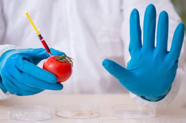 Erkek beslenme uzmanı gıda ürünlerini laboratuarda test ediyor.