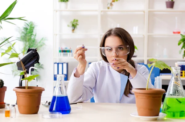 Giovane bella biotecnologia chimico che lavora in laboratorio — Foto Stock
