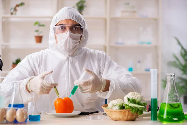 Científico trabajando en laboratorio sobre frutas y verduras transgénicas —  Fotos de Stock
