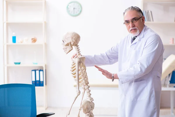 İskeleti olan yaşlı erkek doktor. — Stok fotoğraf