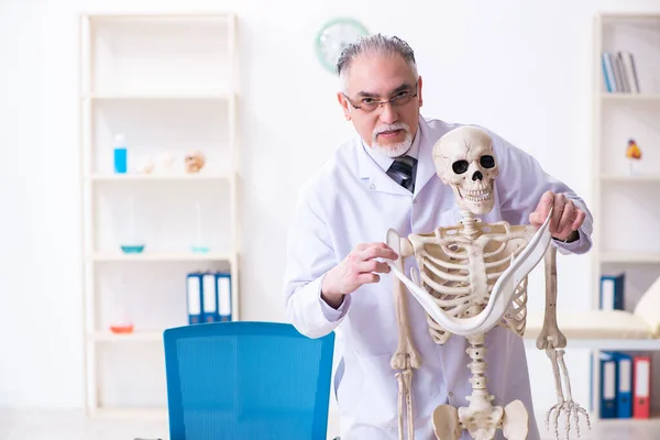 Aged male doctor with skeleton — Stock Photo, Image
