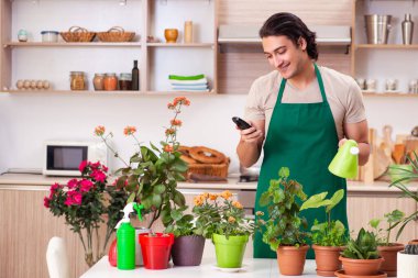 Genç yakışıklı adam evde çiçek yetiştiriyor.