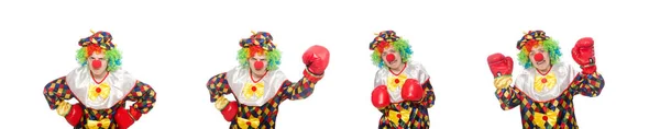 Clown met bokshandschoenen geïsoleerd op wit — Stockfoto