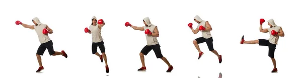 Concept de boxe avec jeune sportif — Photo