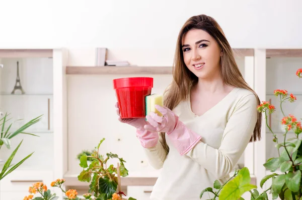 Jonge vrouwelijke tuinman met planten binnen — Stockfoto