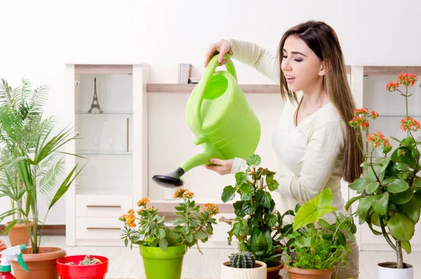Junge Gärtnerin mit Pflanzen im Haus — Stockfoto