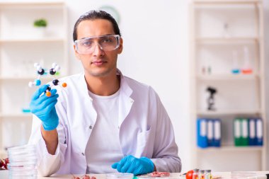 Genç erkek beslenme uzmanı gıda ürünlerini laboratuarda test ediyor.