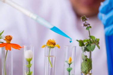 Laboratuvarda çalışan genç bir kimyager.