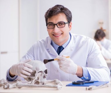 Profesör laboratuvarda insan iskeletini inceliyor.